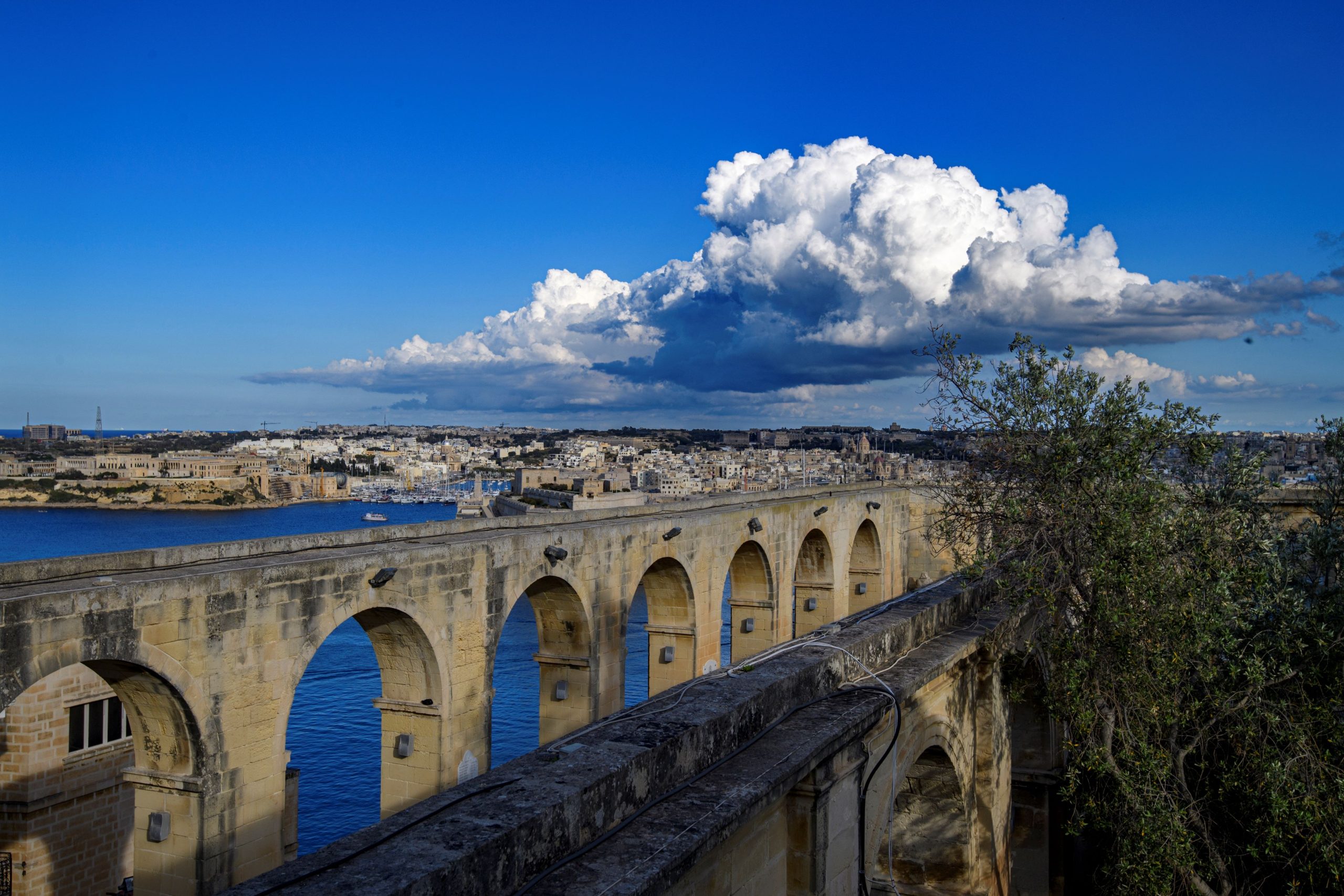 JANUARY USHERS IN THE NEW YEAR WITH ABOVE-AVERAGE TEMPERATURES AND BELOW-AVERAGE RAINFALL