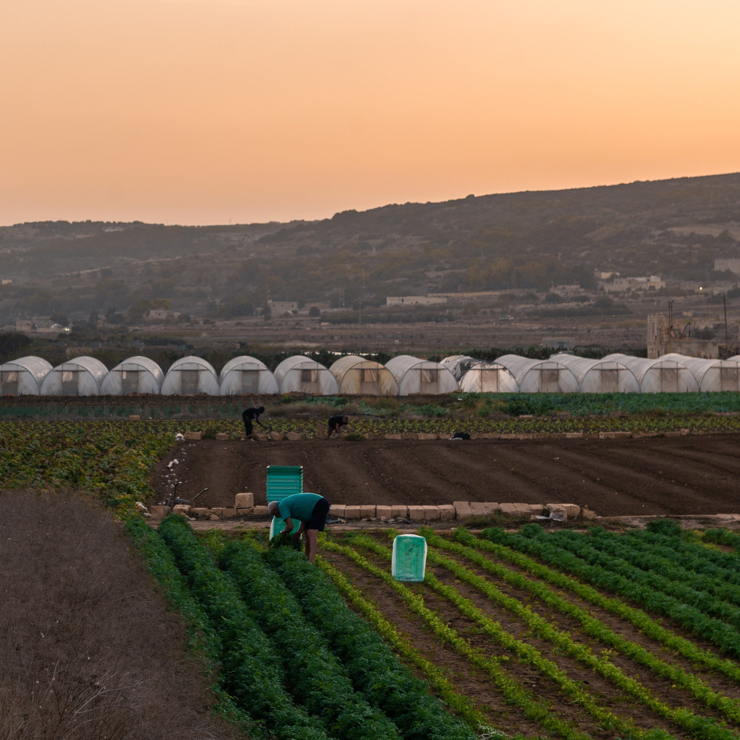 THE MALTESE ISLANDS EXPERIENCE DRIEST OCTOBER SINCE 1922