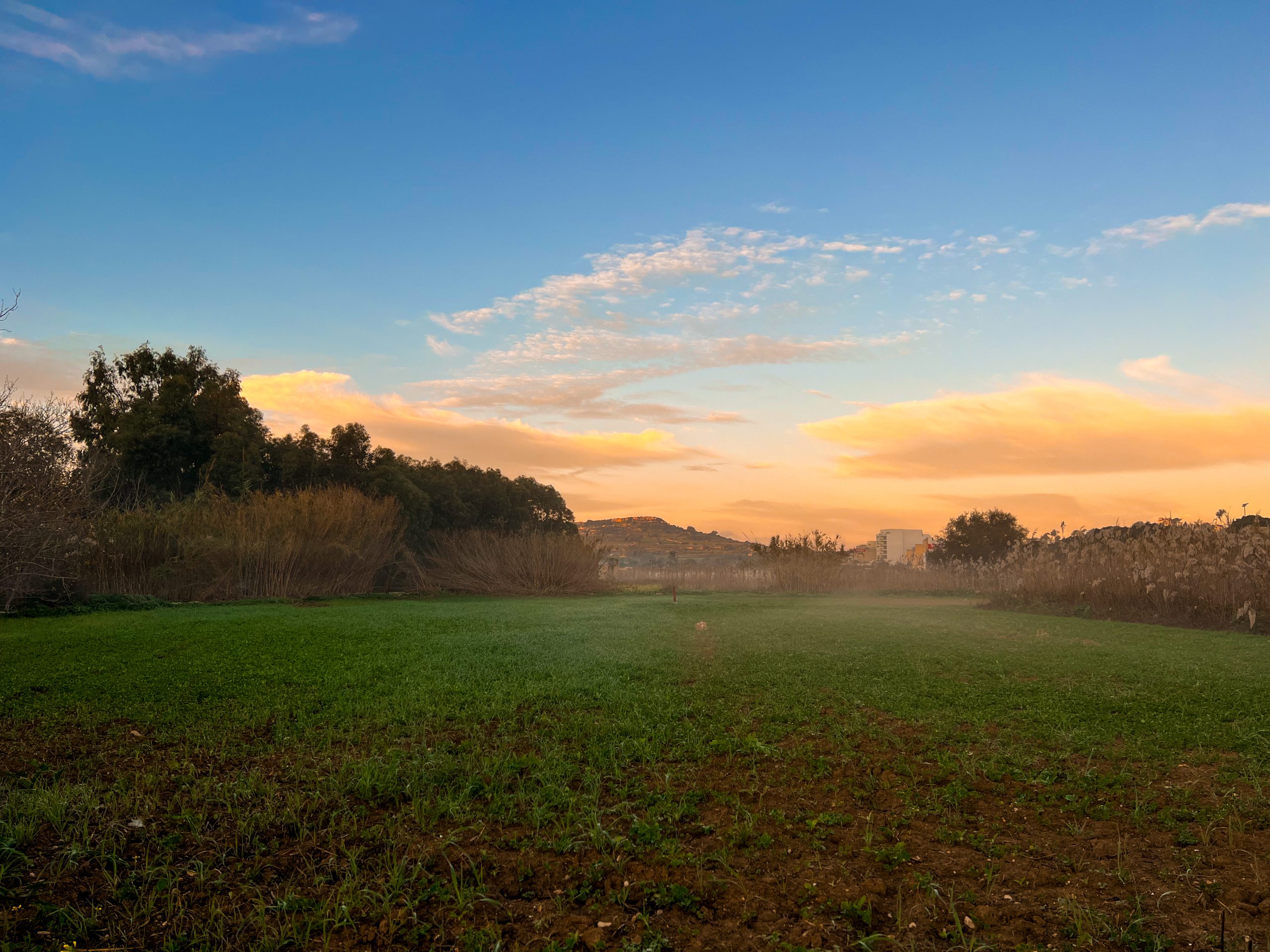 A DRY MARCH WELCOMES SPRING WITH 8.8MM OF RAIN